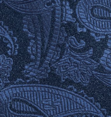 Paisley Navy (515)